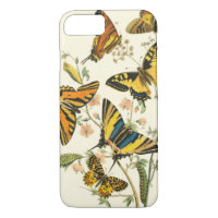 Colourful Gathering of Butterflies and Caterpillar