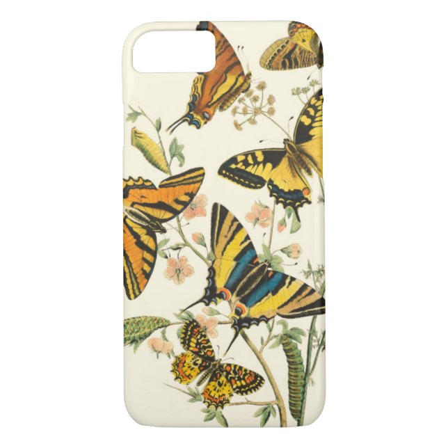 Colourful Gathering of Butterflies and Caterpillar Case-Mate iPhone Case (Back)
