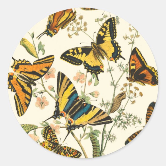 Colourful Gathering of Butterflies and Caterpillar Classic Round Sticker (Front)