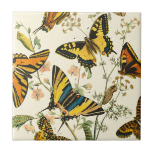 Colourful Gathering of Butterflies and Caterpillar Tile