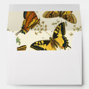 Colourful Gathering of Butterflies and Envelopes