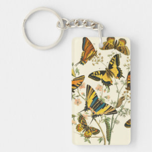 Colourful Gathering of Butterflies and Keychain