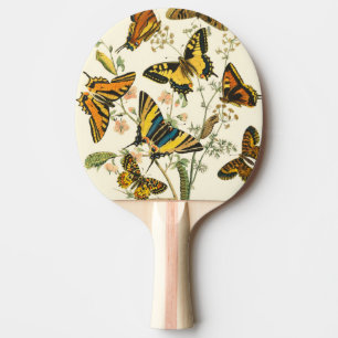 Colourful Gathering of Butterflies and Ping Pong Paddle