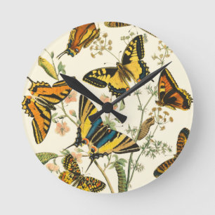 Colourful Gathering of Butterflies and Round Clock