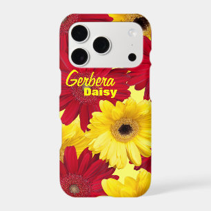 Colourful Gerber Daisy Close-Up Photos Personalize