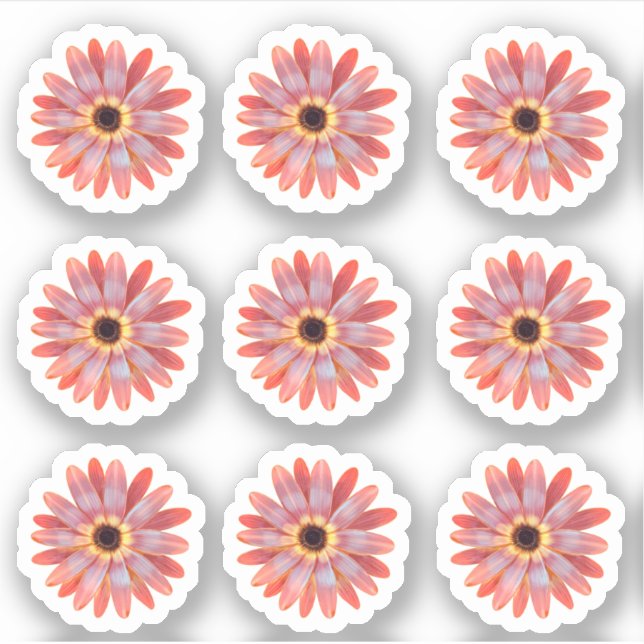  Colourful Gerbera Daisy Floral Sticker (Front)
