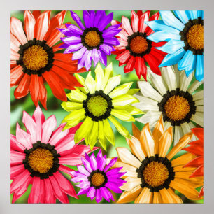 Colourful gerbera flower floral design poster