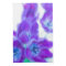 Colourful, girly, romantic, purple tulips