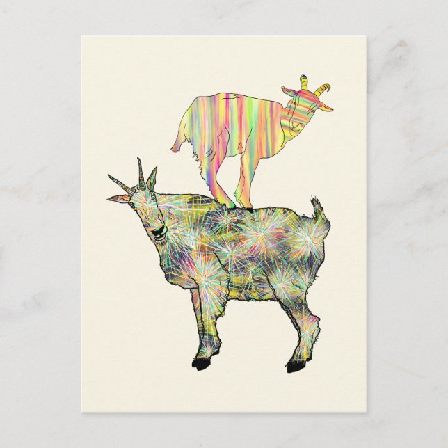 Colourful goats funny illustration  postcard (Front)