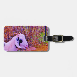 Colourful Goats Luggage Tag