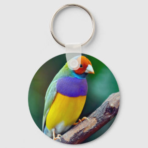 Colourful gouldian finch keychain