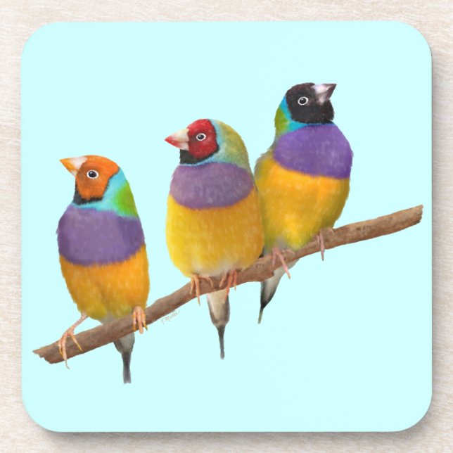 Colourful Gouldian Finches in Pastels Coaster (Front)