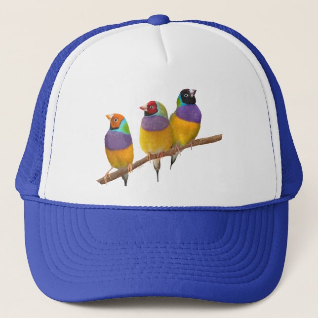 Colourful Gouldian Finches in Pastels Trucker Hat (Front)