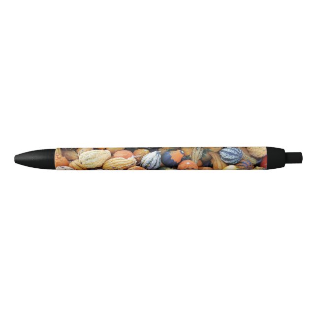 Colourful Gourds A  Black Ink Pen (Front)
