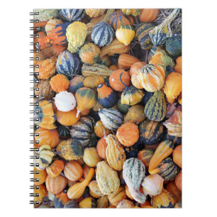 Colourful Gourds A Notebook