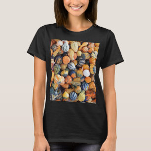 Colourful Gourds A  T-Shirt