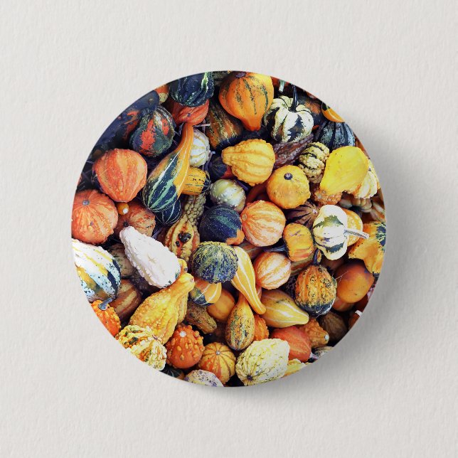 Colourful Gourds C  2 Inch Round Button (Front)