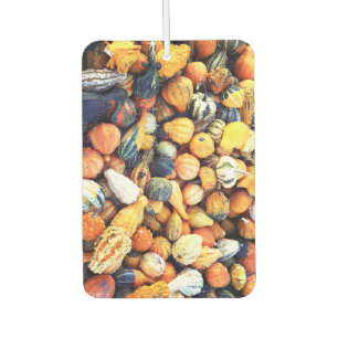Colourful Gourds C  Air Freshener