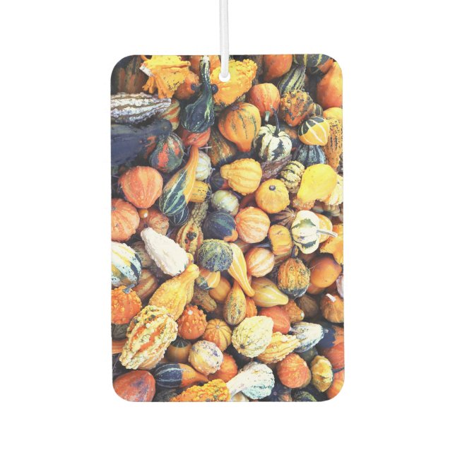 Colourful Gourds C  Air Freshener (Front)
