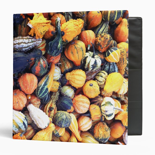 Colourful Gourds C  Binder (Front/Inside)