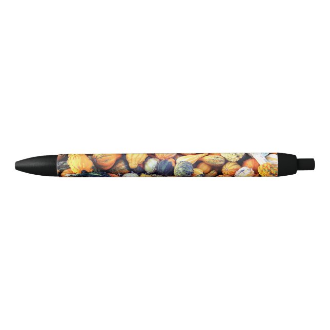 Colourful Gourds C  Black Ink Pen (Front)