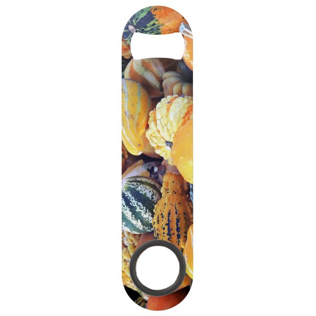 Colourful Gourds Close Up  Bar Key (Front)