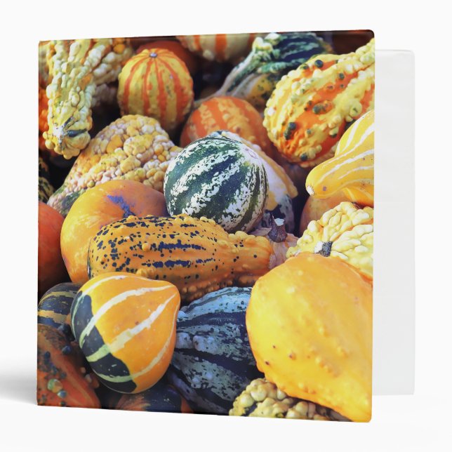 Colourful Gourds Close Up  Binder (Front/Inside)