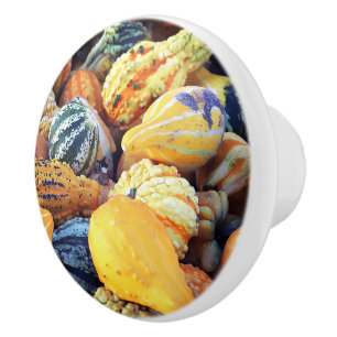 Colourful Gourds Close Up Ceramic Knob