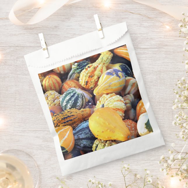 Colourful Gourds Close Up  Favour Bag (Clipped)