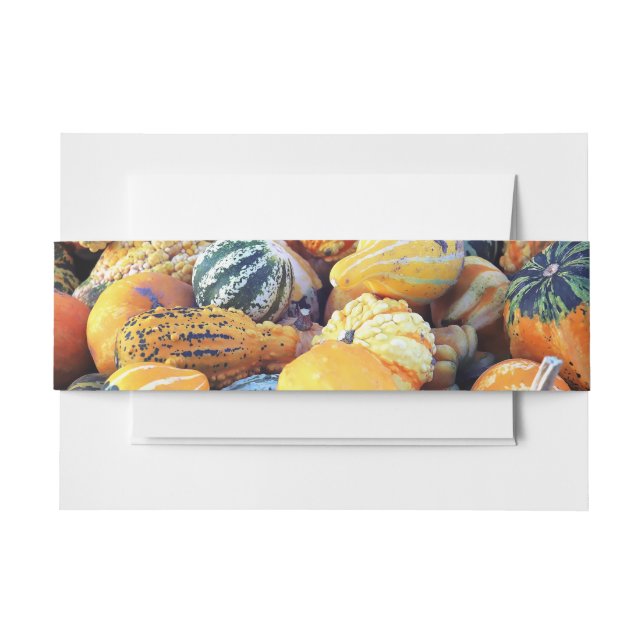 Colourful Gourds Close Up  Invitation Belly Band (Front Example)
