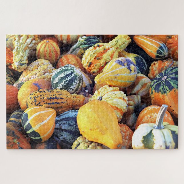 Colourful Gourds Close Up  Jigsaw Puzzle (Horizontal)