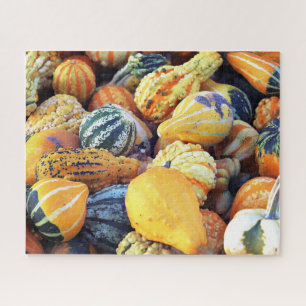 Colourful Gourds Close Up Jigsaw Puzzle
