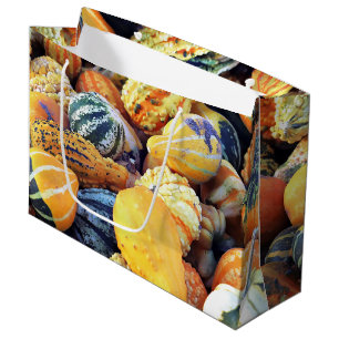 Colourful Gourds Close Up Large Gift Bag