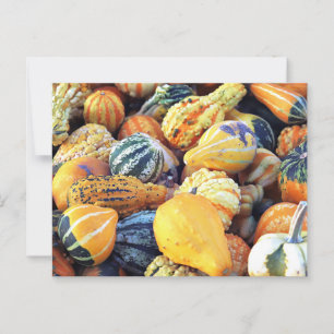 Colourful Gourds Close Up Postcard