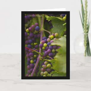 Colourful Grapes Card