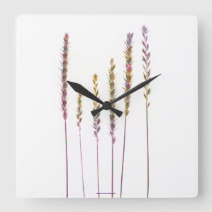 Colourful Grasses Square Wall Clock