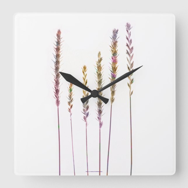 Colourful Grasses Square Wall Clock (Front)