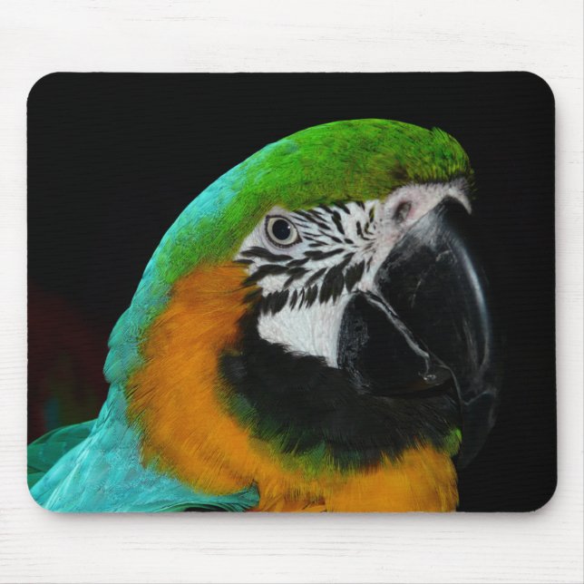 Colourful Green Parrot Mouse Pad (Front)