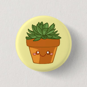 Colourful Green Succulent Planter Centerpiece 1 Inch Round Button