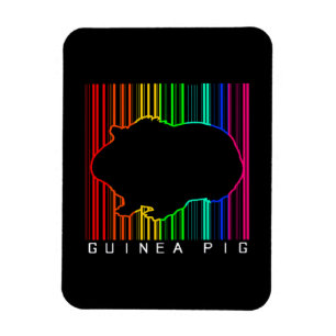 Colourful Guinea Pig Cute Guinea Lover Cute Pe Magnet