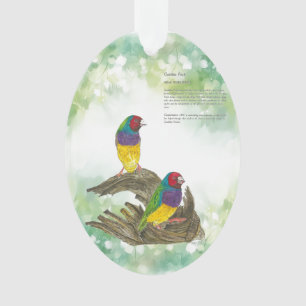 Colourful Hand-Painted Endangered Gouldian Finch Ornament