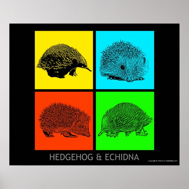 Colourful Hedgehog and Echidna Poster (Front)