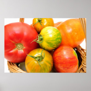 Colourful Heirloom Tomatoes Poster
