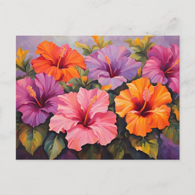 Colourful Hibiscus Flowers  Postcard (Front)