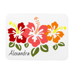 Colourful Hibiscus Trio Personalized Magnet