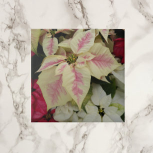 Colourful Holiday Poinsettias Floral Tile