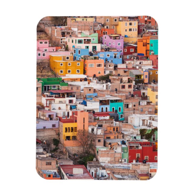 Colourful Homes on the Hill Magnet (Vertical)