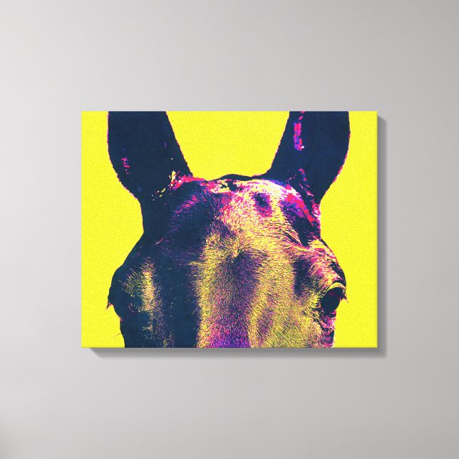 Colourful Horse Eyes Photographic Art Canvas Print (Front)
