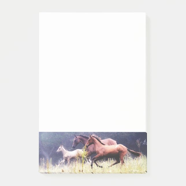 Colourful Horse Pattern Post-it Notes (Front)