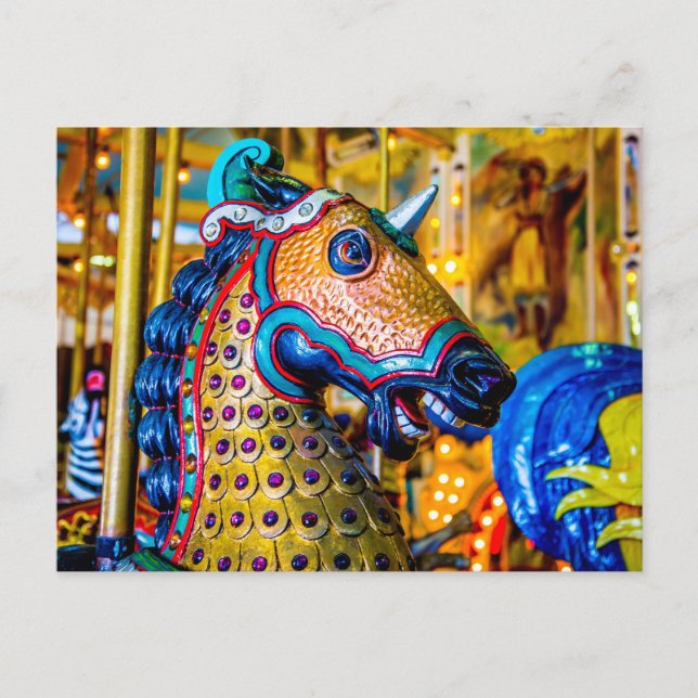 Colourful Horse Postcard (Front)